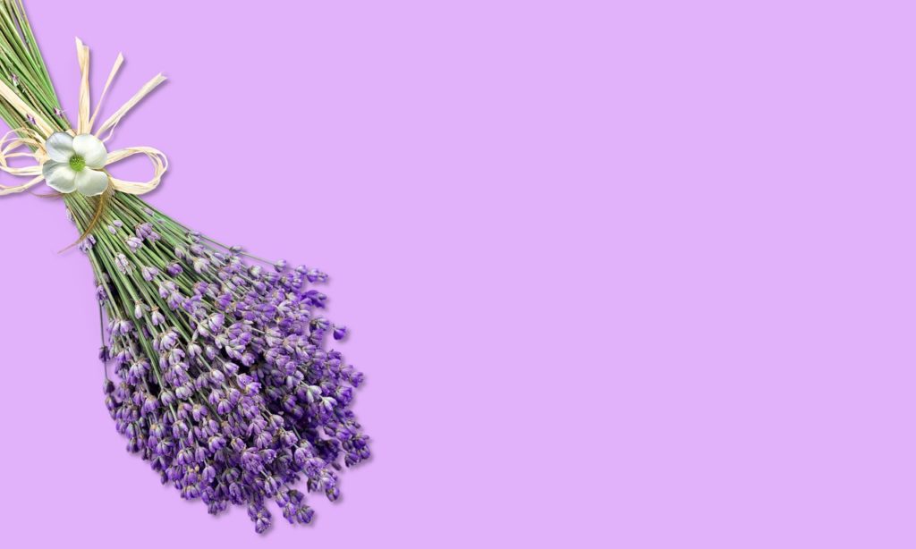 Background Lavender Bouquet Purple - flutie8211 / Pixabay
