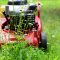 Lawn Mower Mow Gardening Lawn  - congerdesign / Pixabay